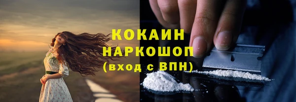 ГАЛЛЮЦИНОГЕННЫЕ ГРИБЫ Новозыбков