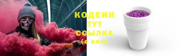 ГАЛЛЮЦИНОГЕННЫЕ ГРИБЫ Новозыбков