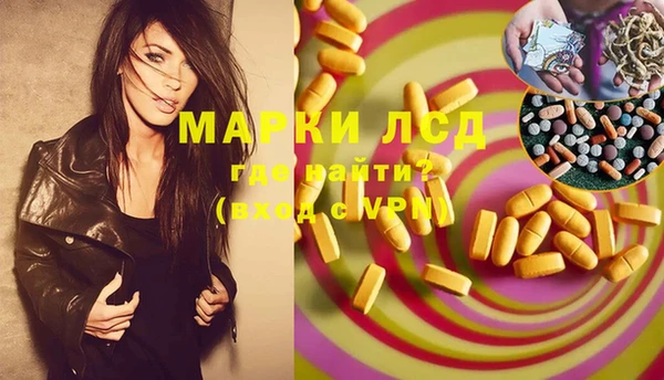 ГАЛЛЮЦИНОГЕННЫЕ ГРИБЫ Новозыбков