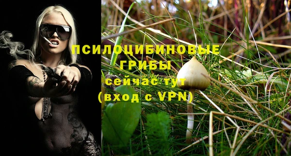 ГАЛЛЮЦИНОГЕННЫЕ ГРИБЫ Новозыбков