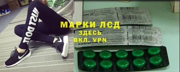 ГАЛЛЮЦИНОГЕННЫЕ ГРИБЫ Новозыбков