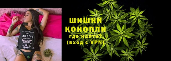 ГАЛЛЮЦИНОГЕННЫЕ ГРИБЫ Новозыбков